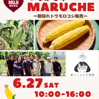 画像255