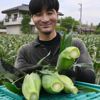 画像264