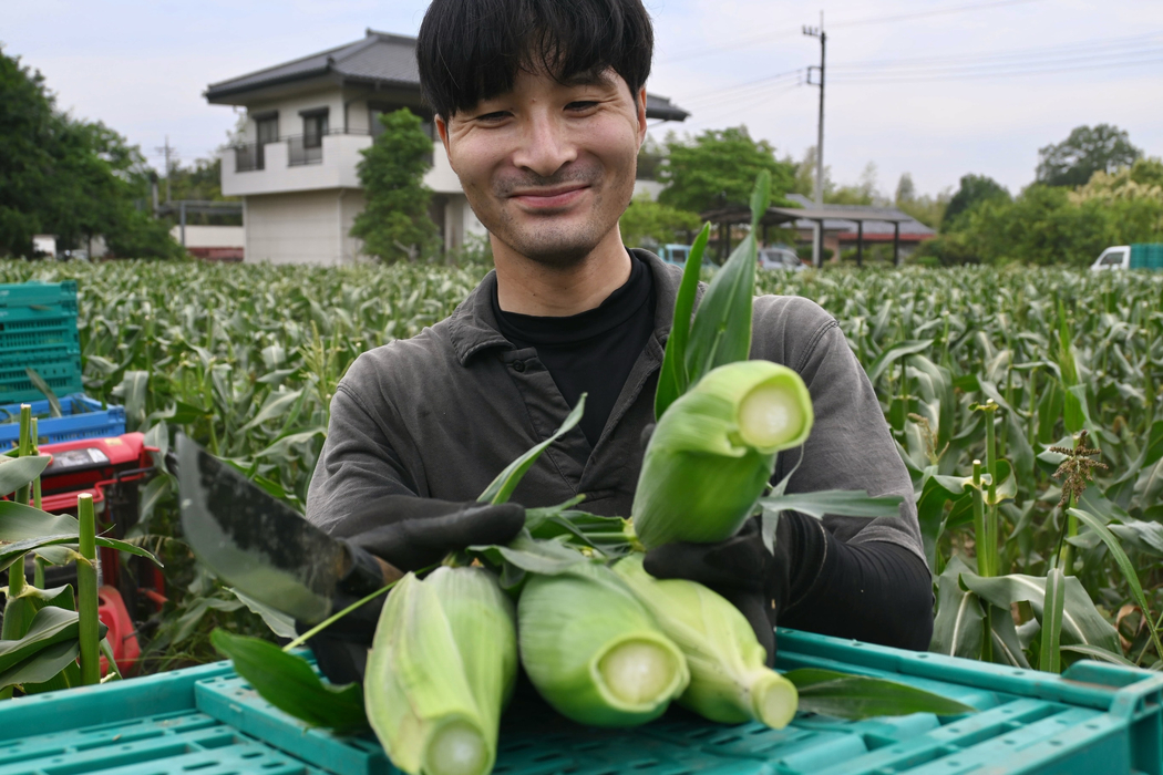 画像264