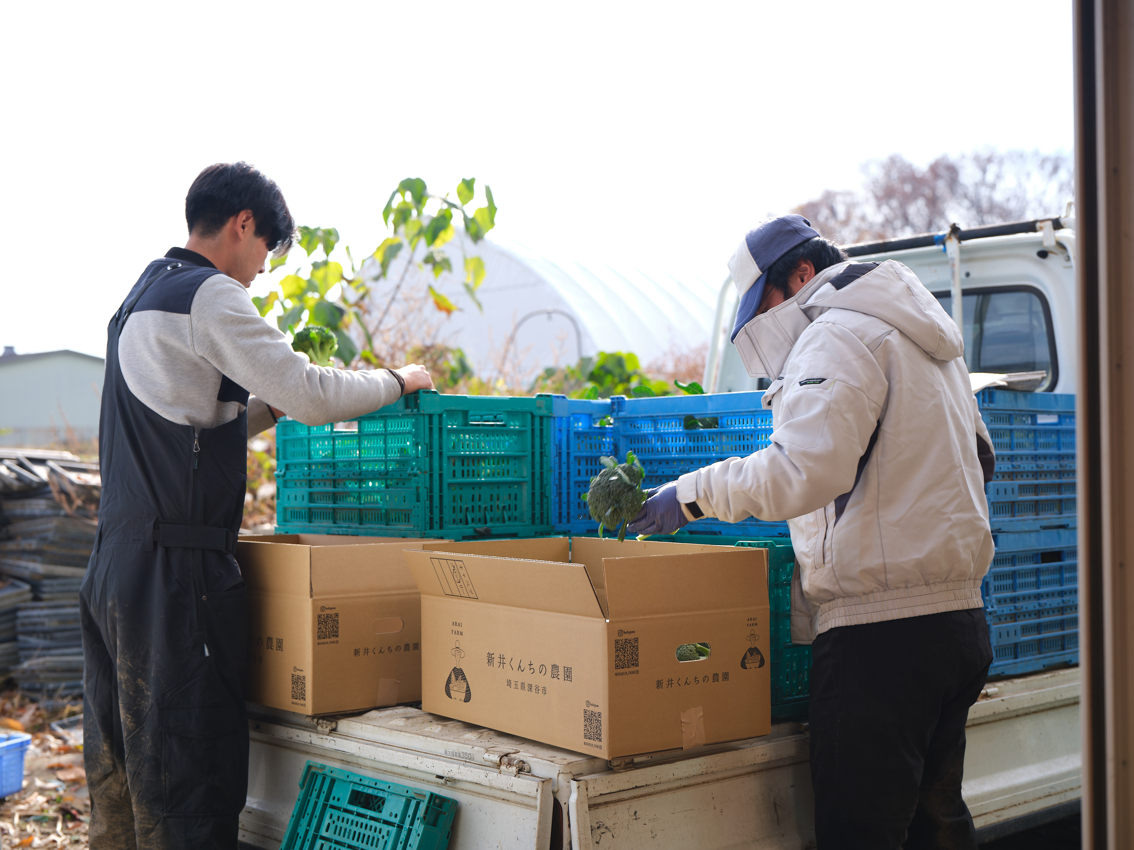 野菜