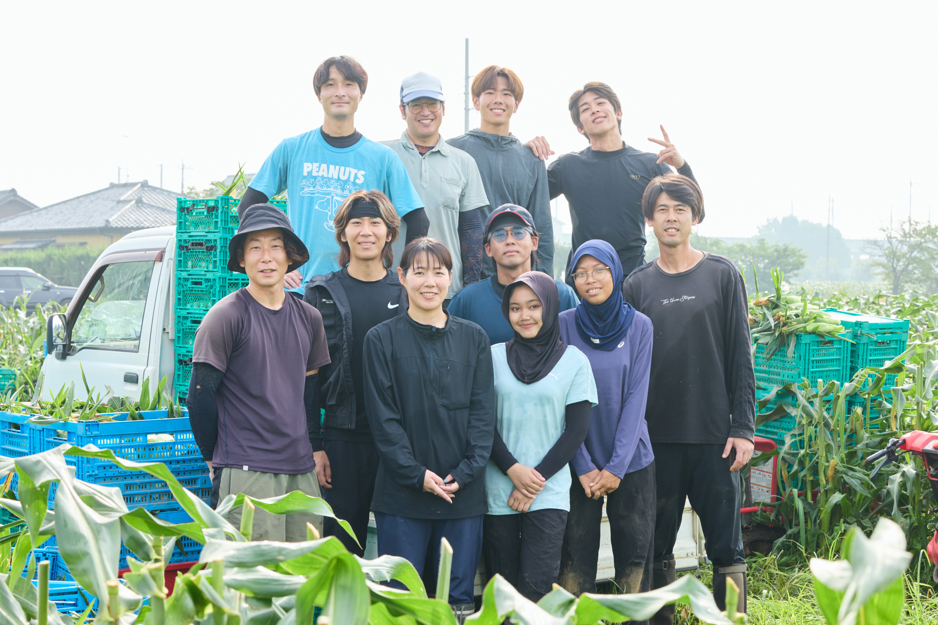 野菜