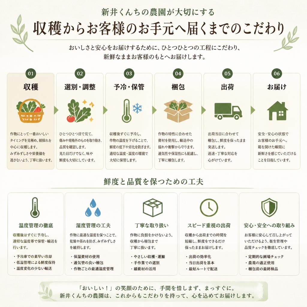 収穫からお届けまでのこだわり