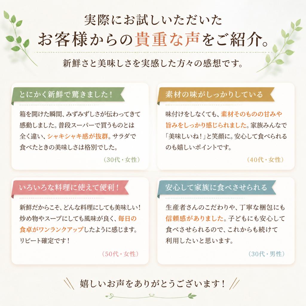 お客様の声