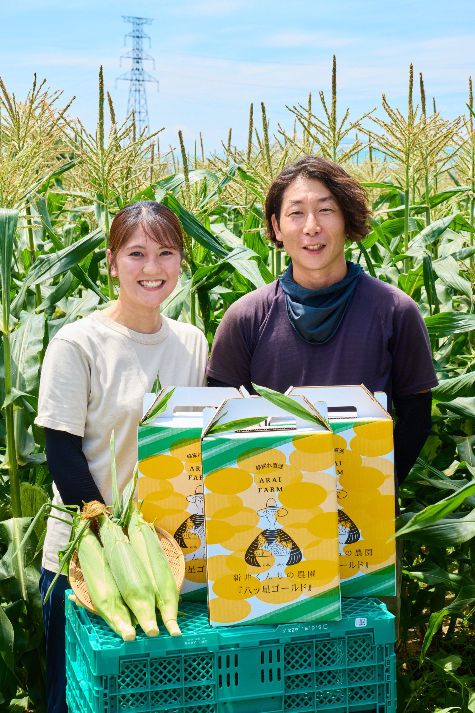 お中元に最適なギフトセット