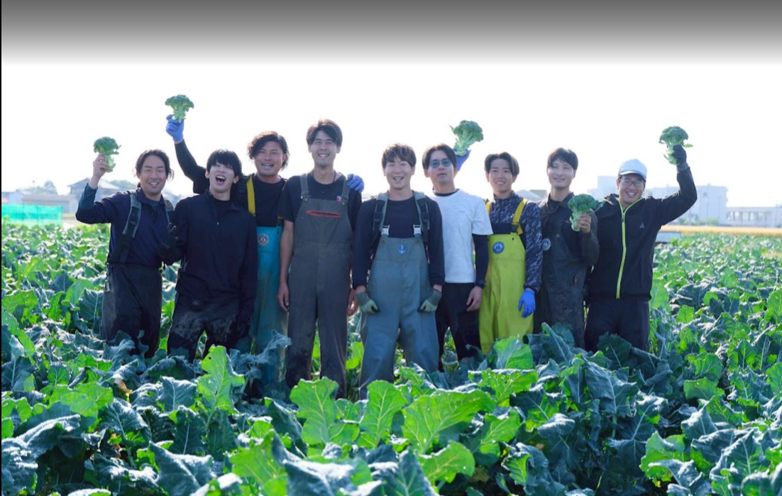 贈り物に最適！新鮮な産地直送の野菜通販