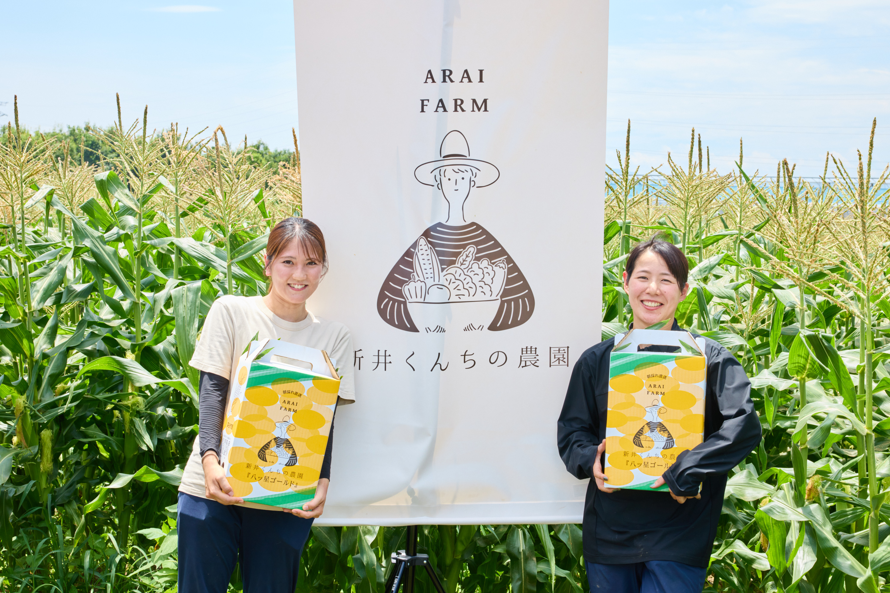 美しさと味を兼ね備えたギフトデザイン
