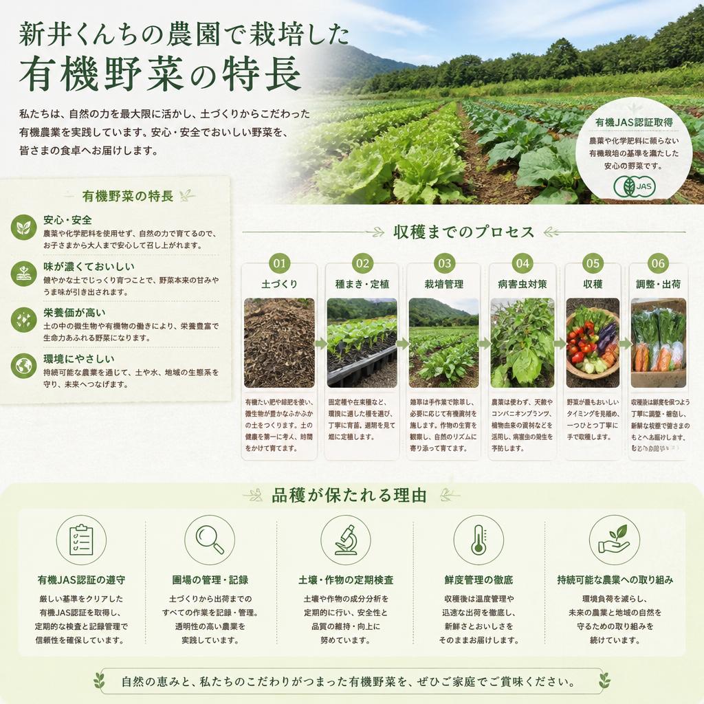 新鮮さが決め手！地元の有機野菜