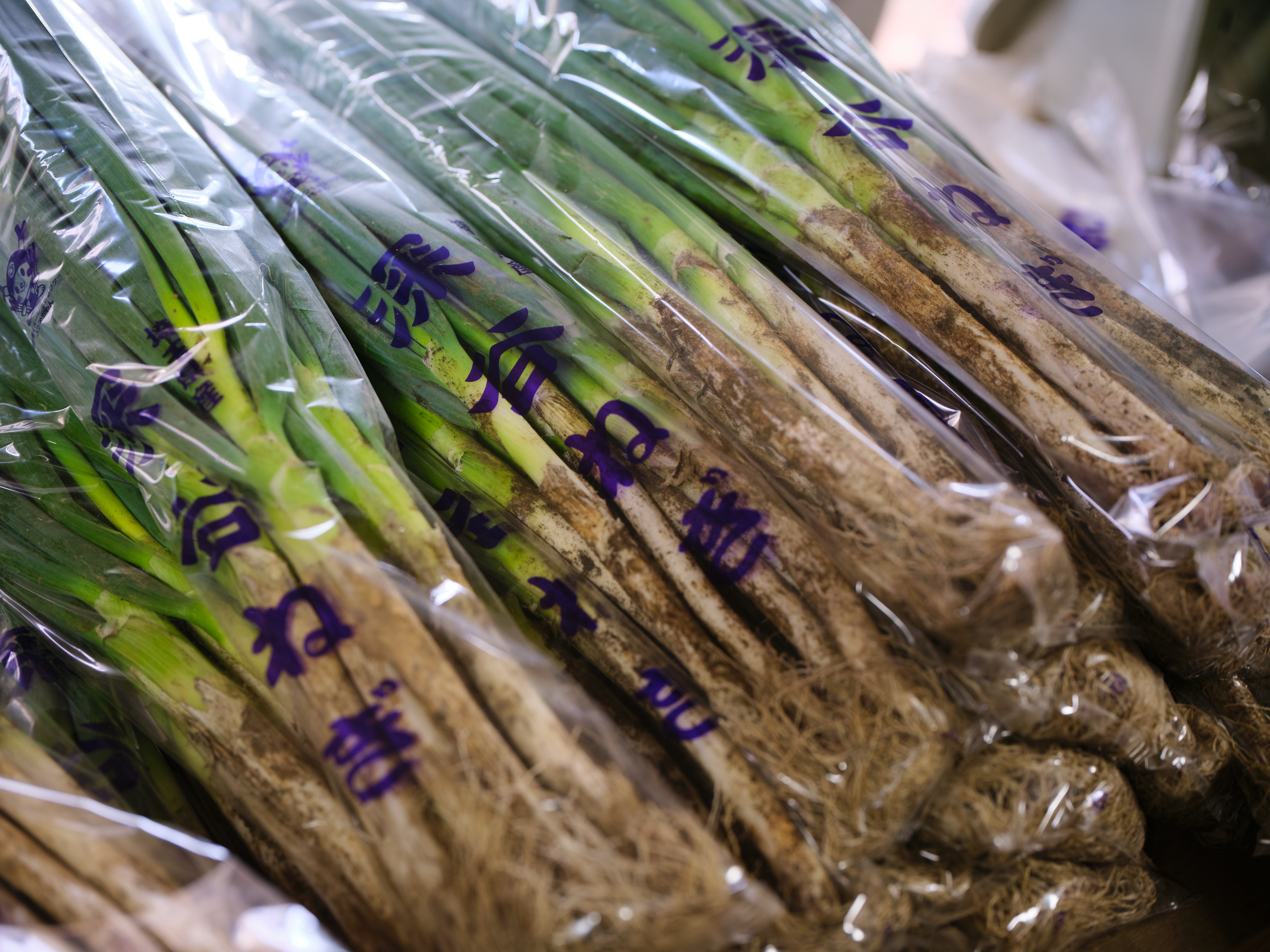 農家直送で届けるお歳暮、深谷ネギの極みをご堪能！
