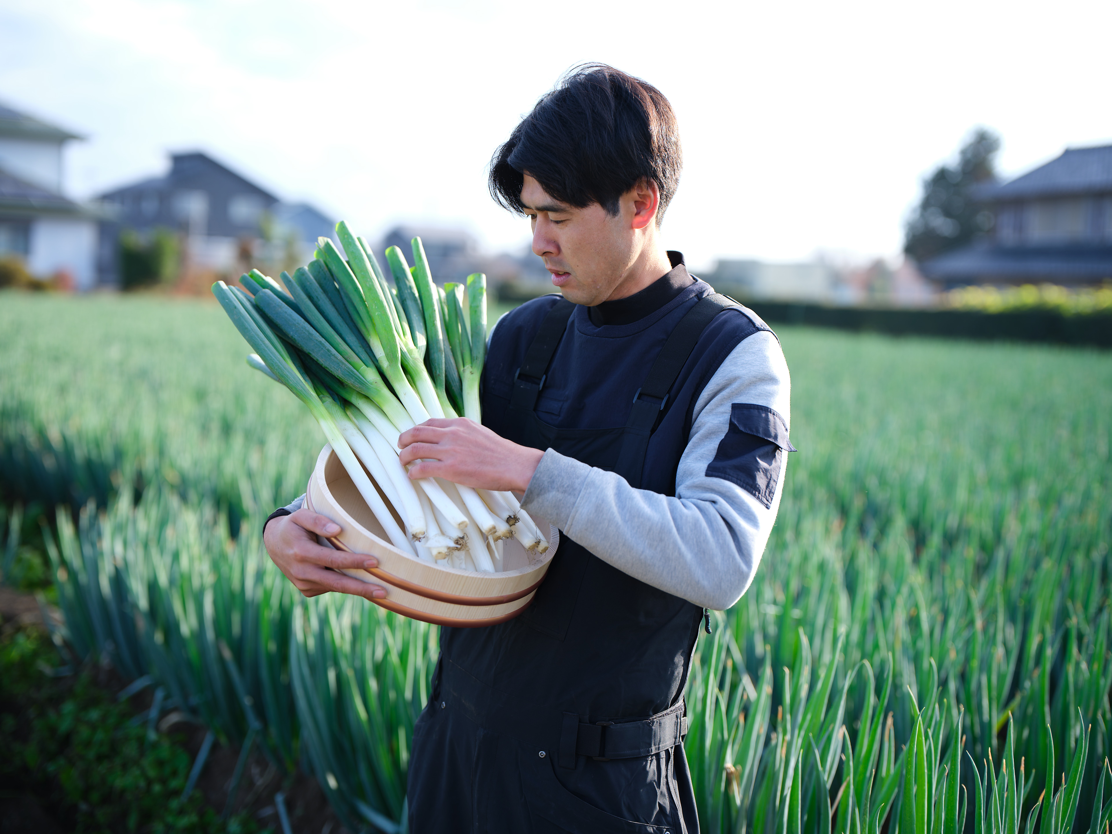 新井くんちの農園のこだわり