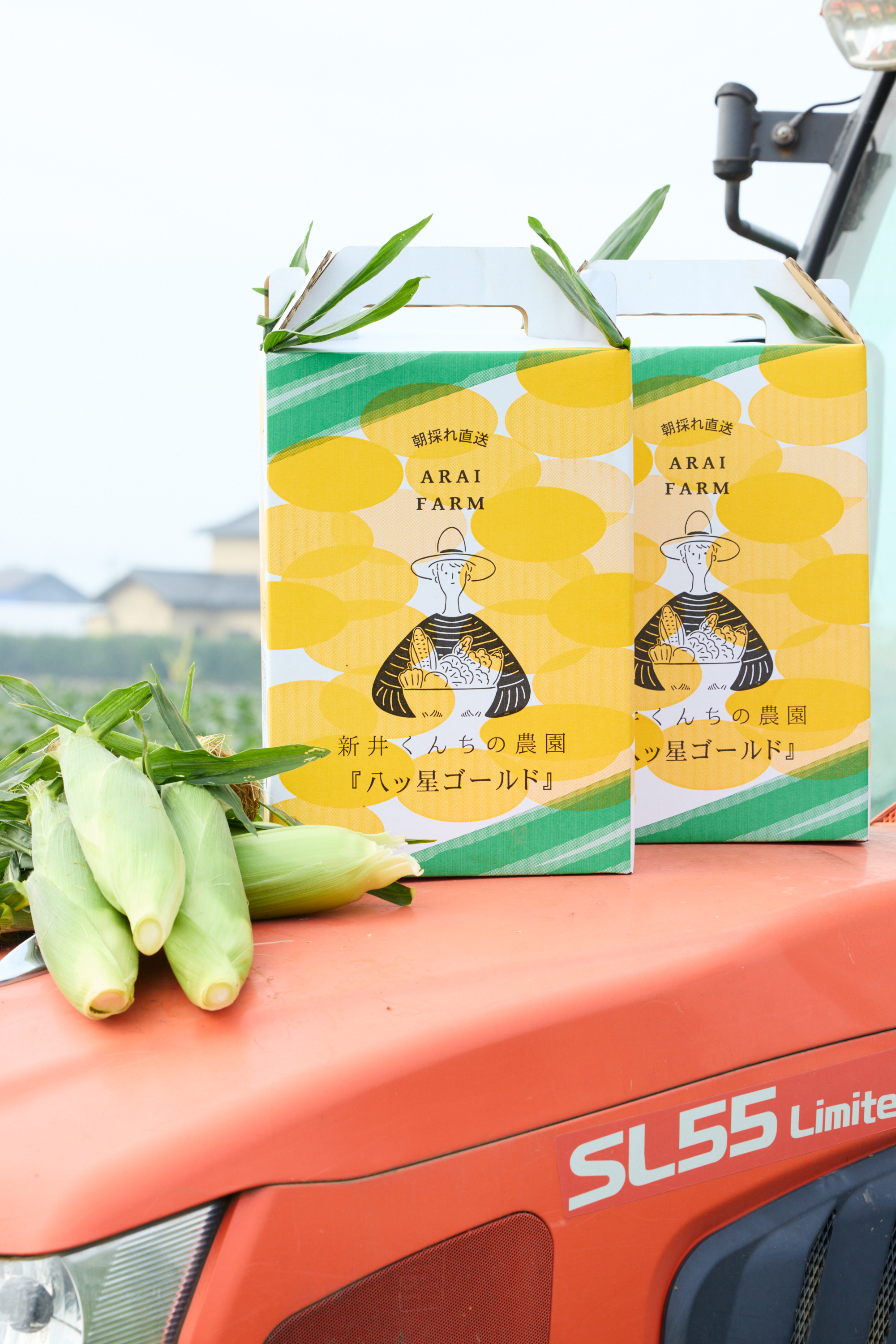 最高品質のトウモロコシ