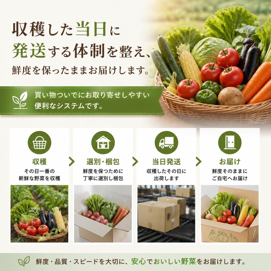 スピーディーな配送体制