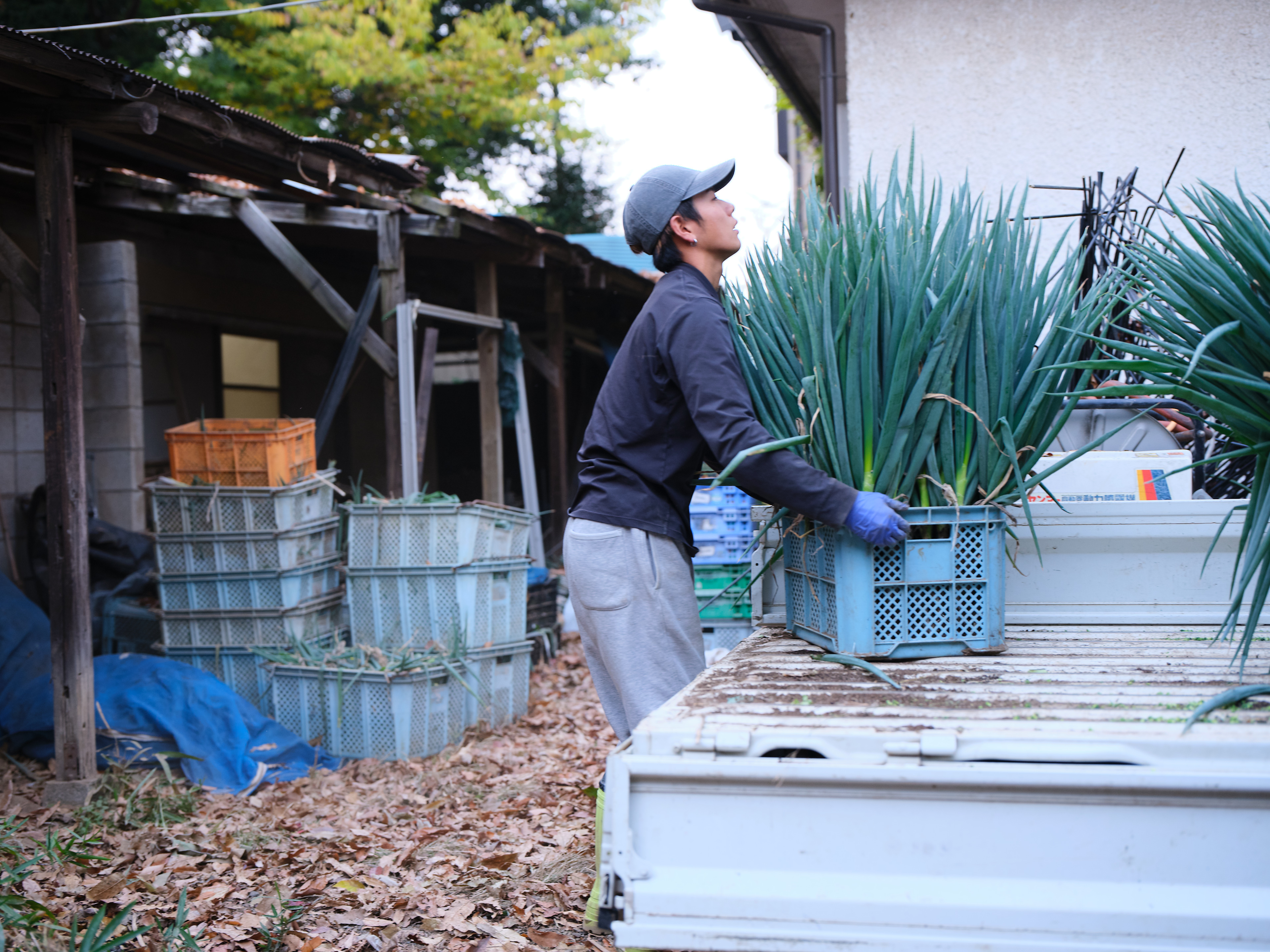 4. 地元の特産品としての価値