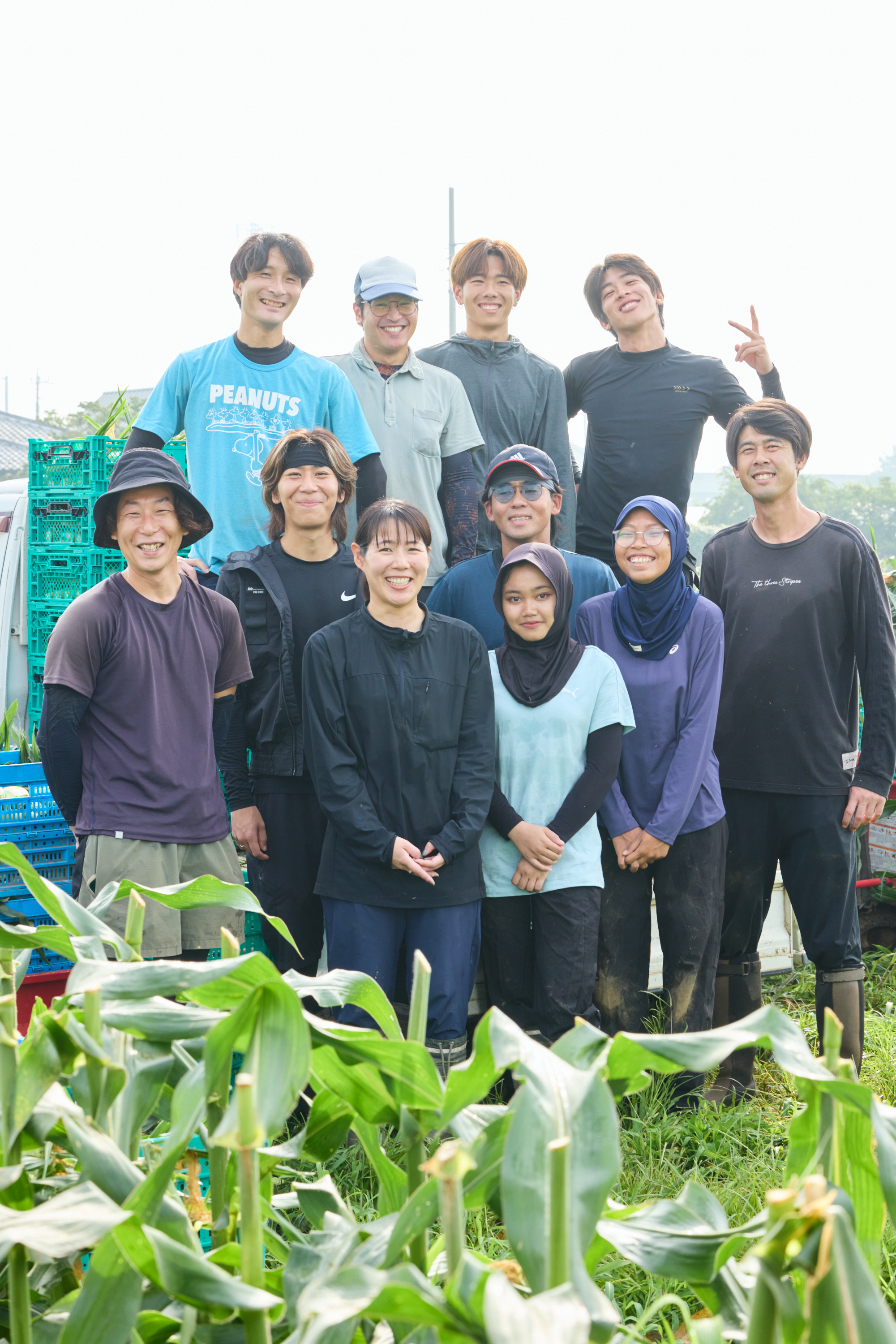 地元産の季節の野菜の魅力