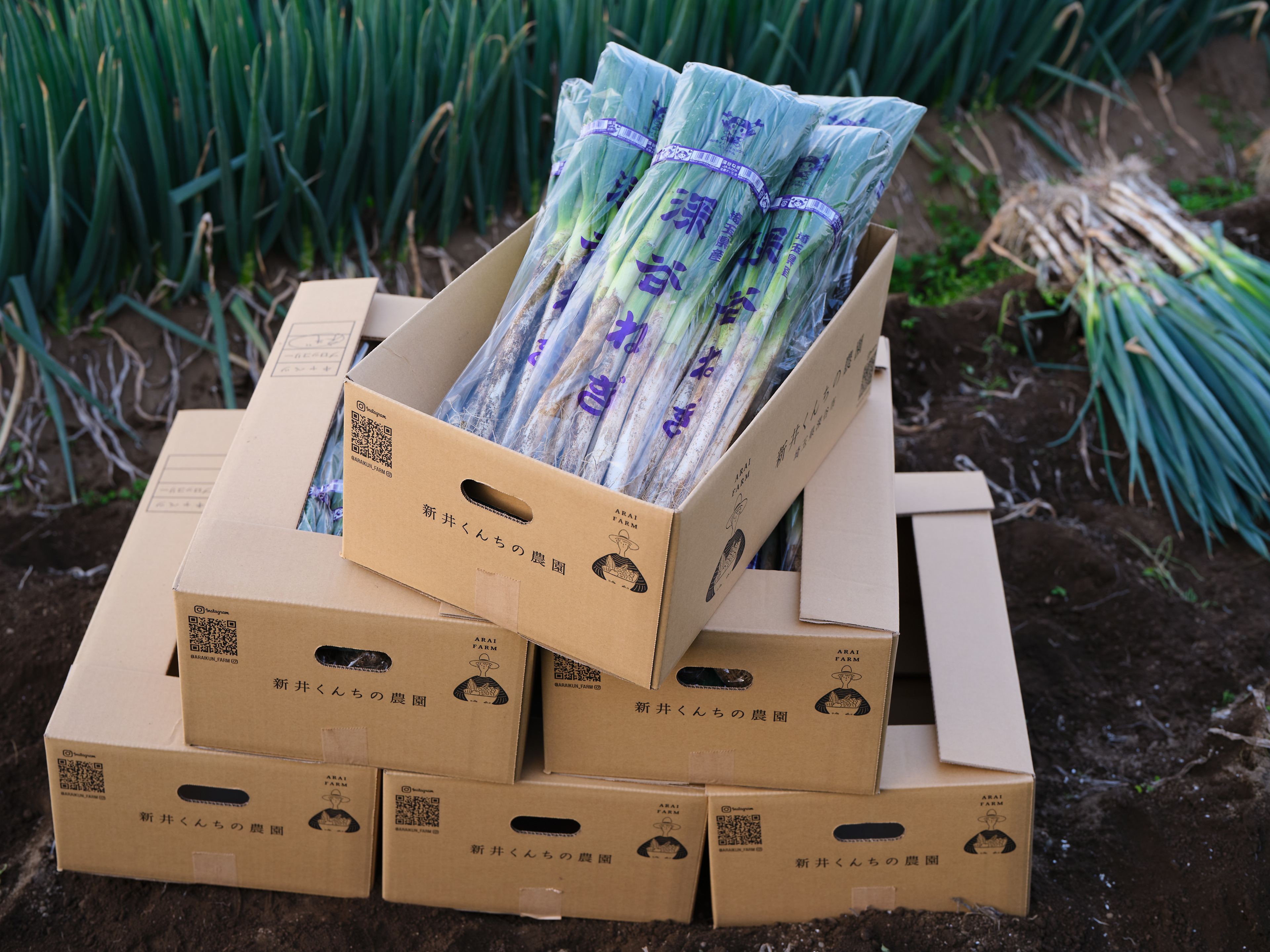 旬の今がチャンス！新鮮な直送野菜