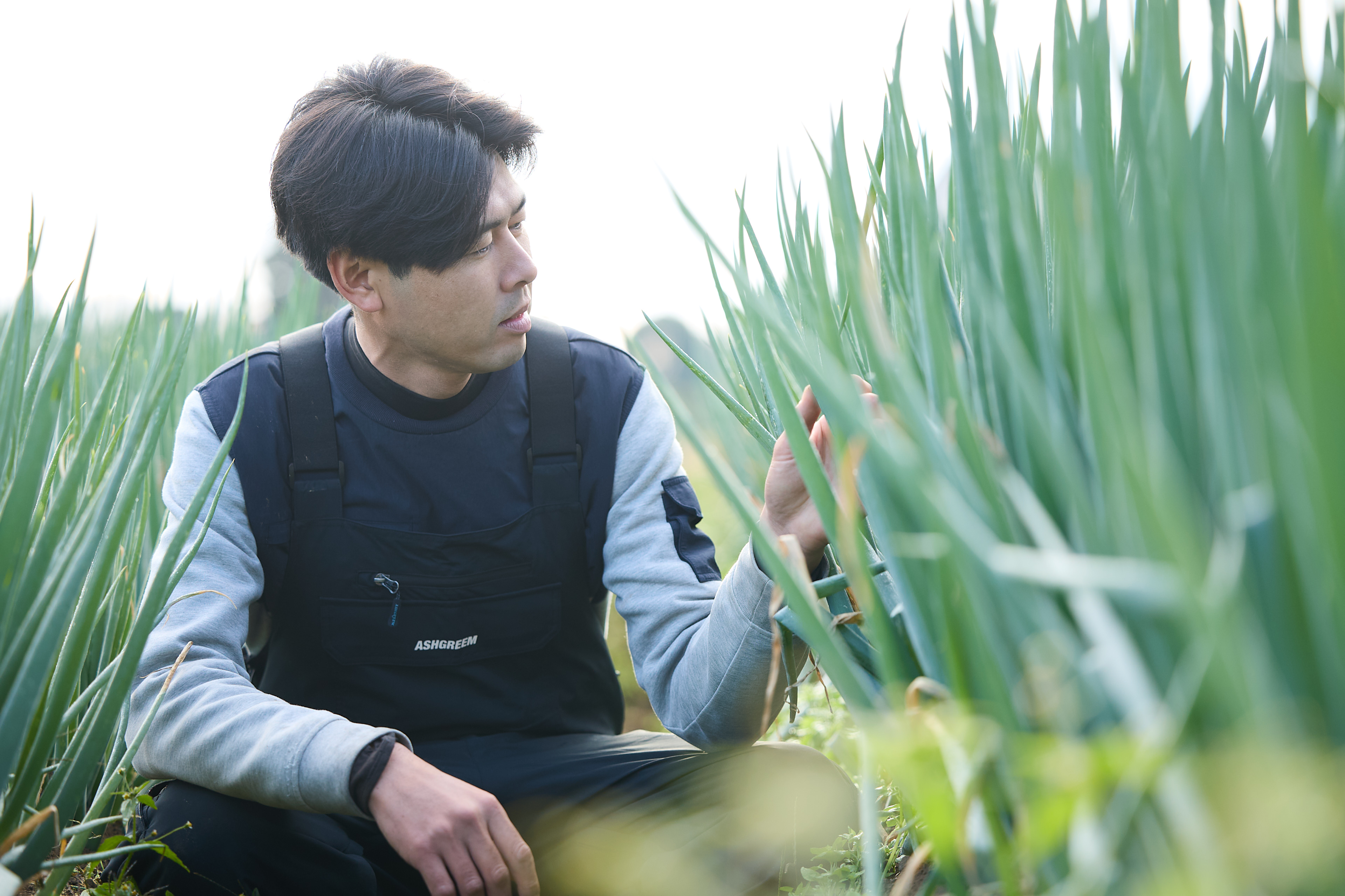 最高級の深谷ネギで目上の方に感謝を伝える贈り物