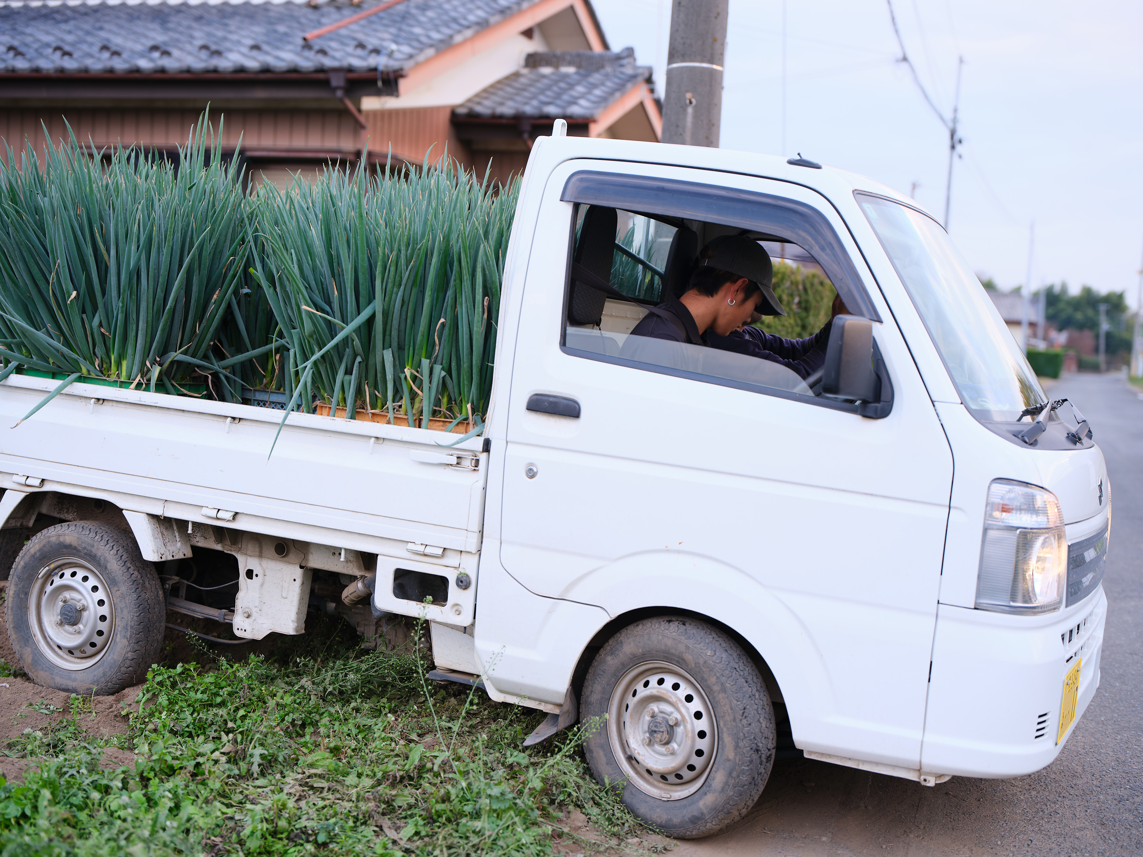 深谷ネギの本物の味をあなたの食卓に！